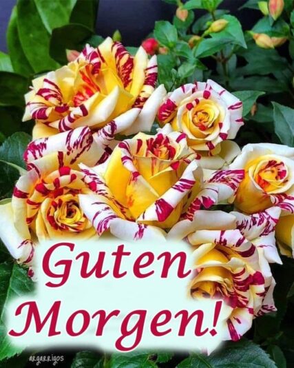 123525930_146983617164080_8962449973891042443_n