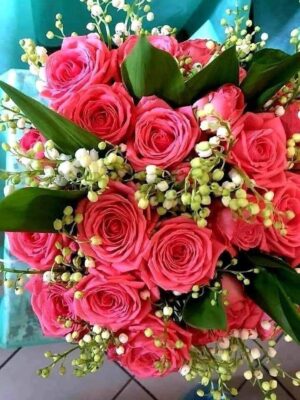 492007183_1404196554156703_6470544395718516338_n