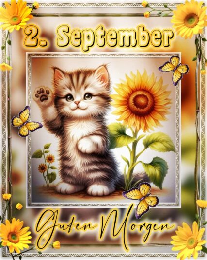 543354859_1198963572264485_8558693055585412951_n