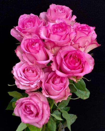 171934105_279052500357770_6659937023061199690_n