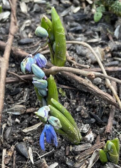 F59EE028-D6B3-4813-B882-7A5B12B7C6C3