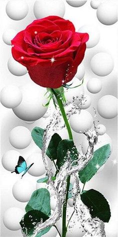 9102fc6c992b042e4d54843fae2d95f8