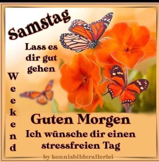 299976339_3175039952718538_2236564792455698842_n (1)