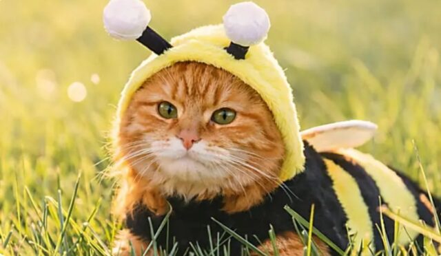 Screenshot_20260317_103821_Samsung Internet