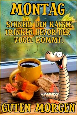 b5843991-67c7-47e7-939c-79b58bcdd0cf