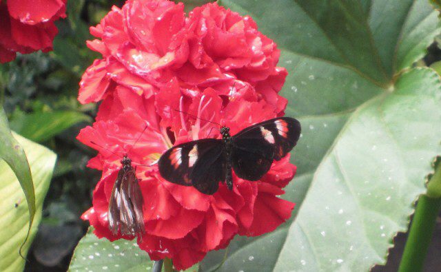 76DAB8D3-A854-46EC-808B-32CFA651BBEC