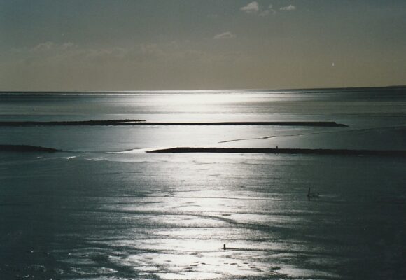 20230319014618_010~2