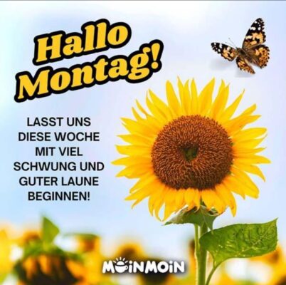 63211deb-7576-44fa-94f7-1d0fbf80b8b3