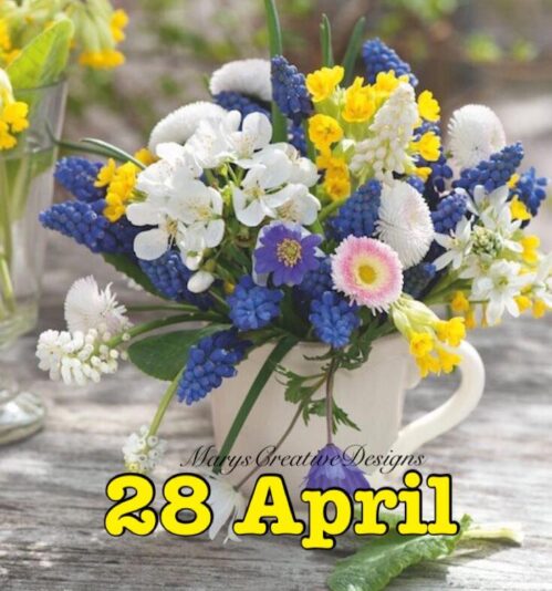 279092779_3181752518729210_332481930655533899_n (2)