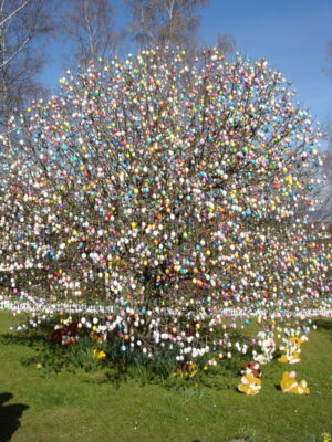 Eierbaum in Saalfeld - Ostern 2007