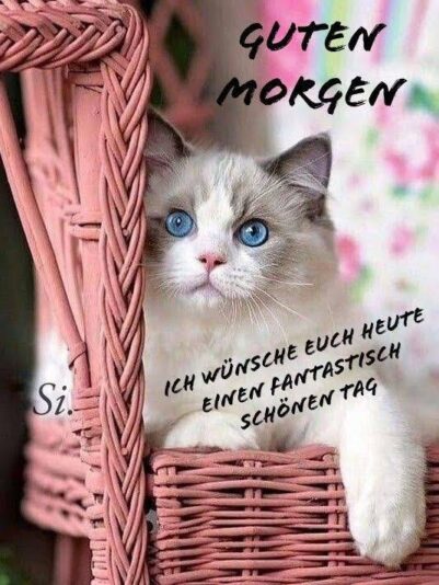 307157359_404145048531266_1128200265936171038_n