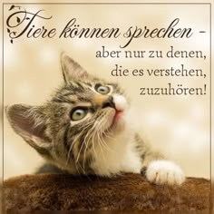 05308a29dd85222e60fc066a6e8c192b