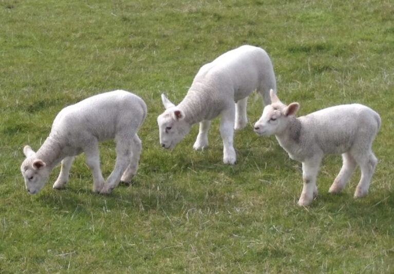 697441EF-CDE5-46DB-B98F-503446C371A3