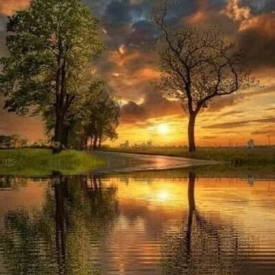 211348724_2558281997650394_991890092100361093_n