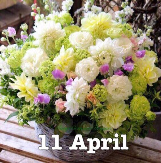 277811433_3167925750111887_3302358729857457700_n (2)