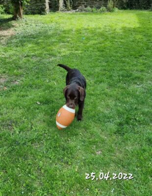 Screenshot_20220425-110826_WhatsApp