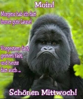 Screenshot_20251203_055045_Google