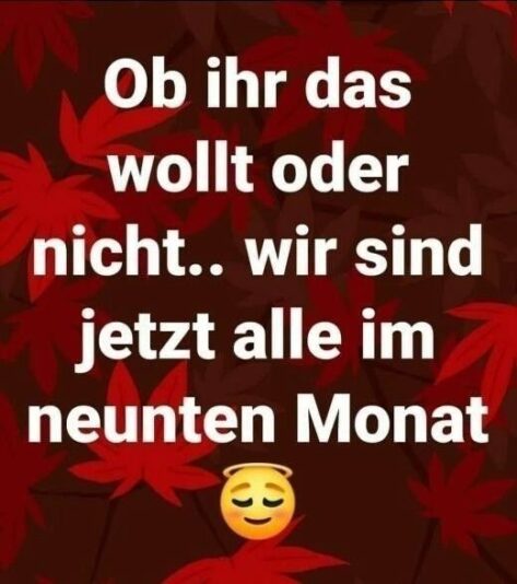 c775c727a8cfe76448908bb4d41fa1f6