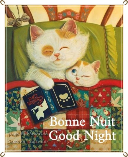 248252452_5041335339249855_4613193342095572512_n