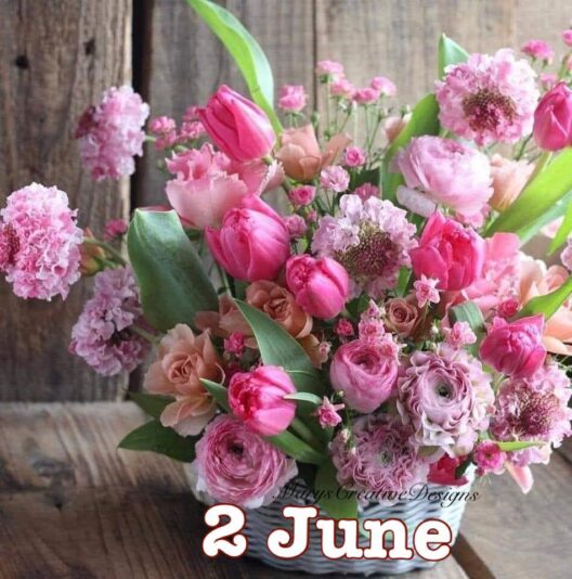 284460586_3211321465772315_5593432019173175067_n (2)