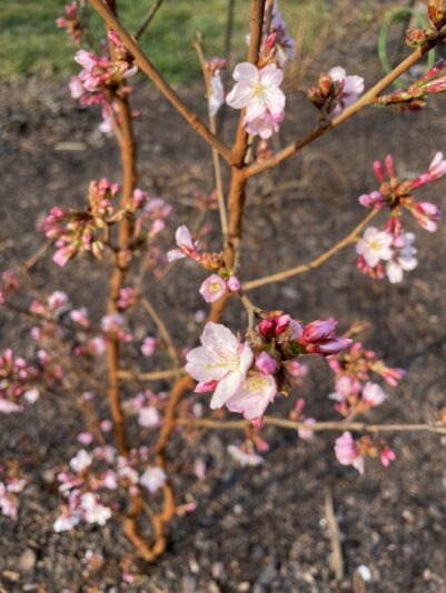 525BE254-D43C-45CD-BC2A-C4CED50299FF