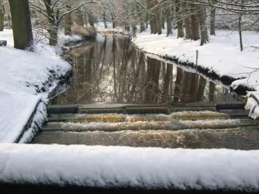 Januar - Februar 2010 022