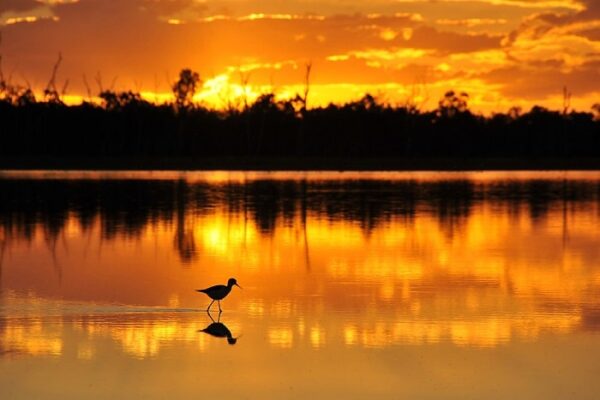 image Ralph_Lösche_see