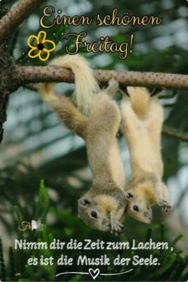 FB_IMG_1757657806287