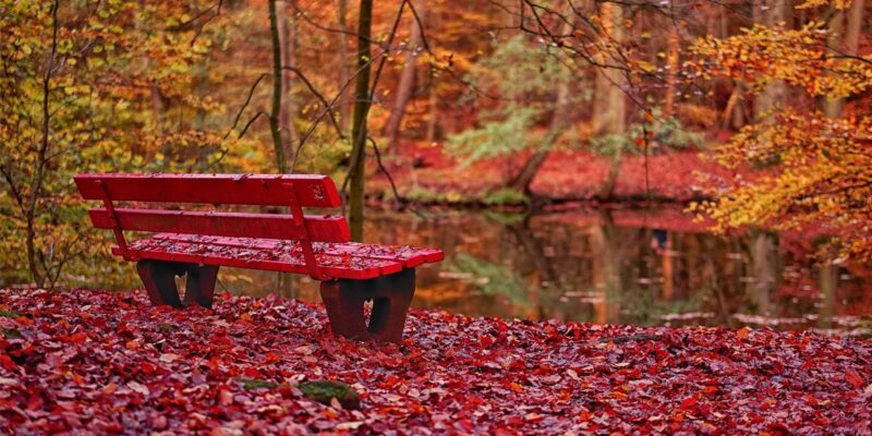 630_0900_2494770_Lieblingsfotos_2018_6