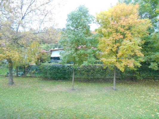 Ein tag mit geli auf der EGA 2018 005