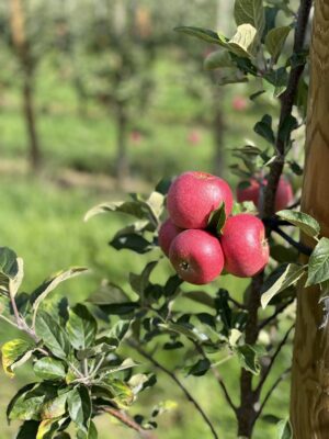 mmexport1695576913139