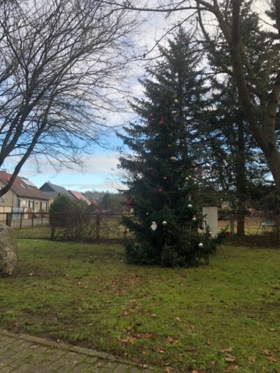 29.11.20.jpeg 2.jpeg 10