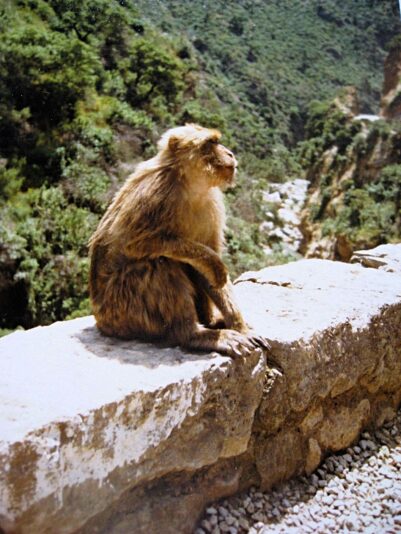 IMG_0326-fotor-20240531214232