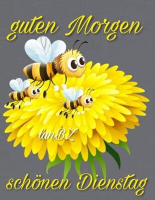 13C89A9F-A0ED-40B7-8E3A-E3ECE774ACAB