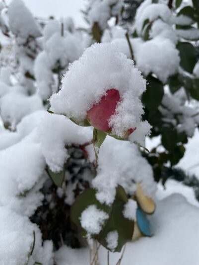 01004965-E5CD-47F3-8979-046A1BB0DA28