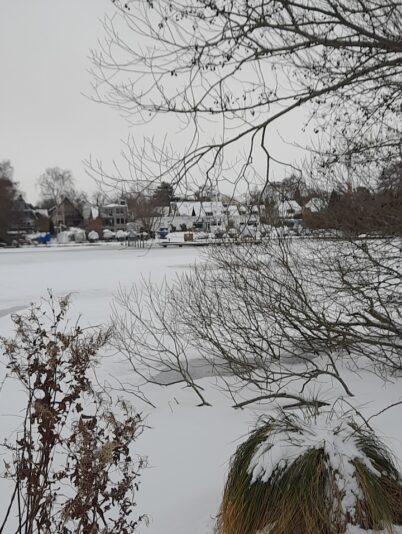 Screenshot_20260205_223032_Gallery