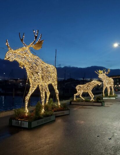 Screenshot_20251125_174129_Gallery