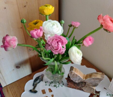 IMG_20250218_090203046