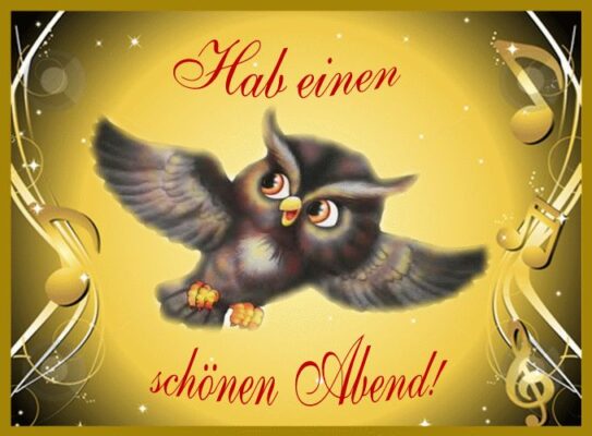 fe17ec3e8c751fc3a7d71170a39668c6--animation-good-night.jpg Abend