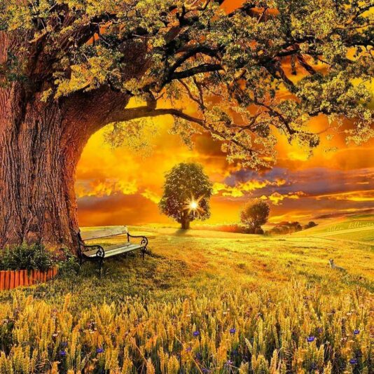 200437516_5649933855048321_1580041940476006669_n (1)