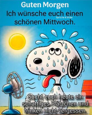 FB_IMG_1755067639877