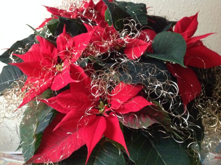 AB2FA478-DC0C-460A-A14F-182E2DBAA9F3