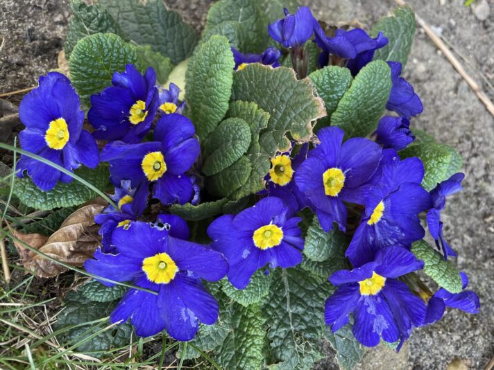 547C82D3-6DF5-4222-8956-DF406D4E0DC1