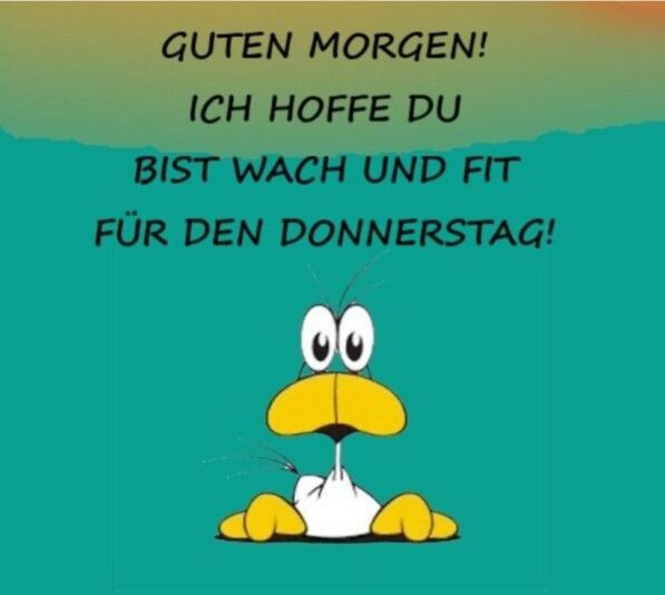 Gallery_1763612736257