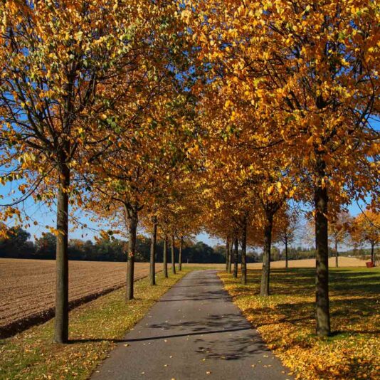 Fotoparade-Herbstfotos-6