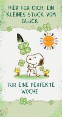 Gallery_1756695761558