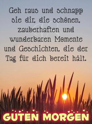 FB_IMG_1755244844321