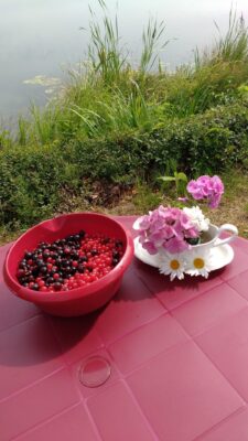 IMG_20180704_105348138