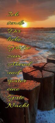 dce5705affd9af03240428f236f79b39