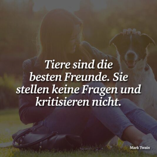 6765562515954065033298660-779128